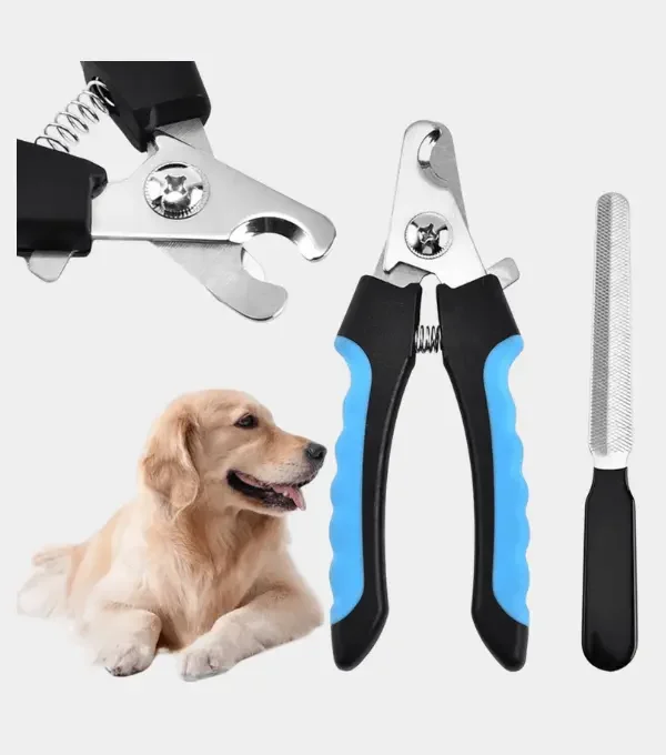 accesorios para mascotas colombia